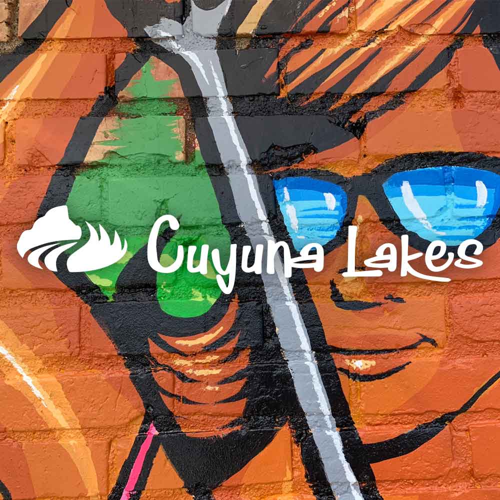 Adam Turman Cuyuna Lakes Mountain Bike Scuba Search It Mural