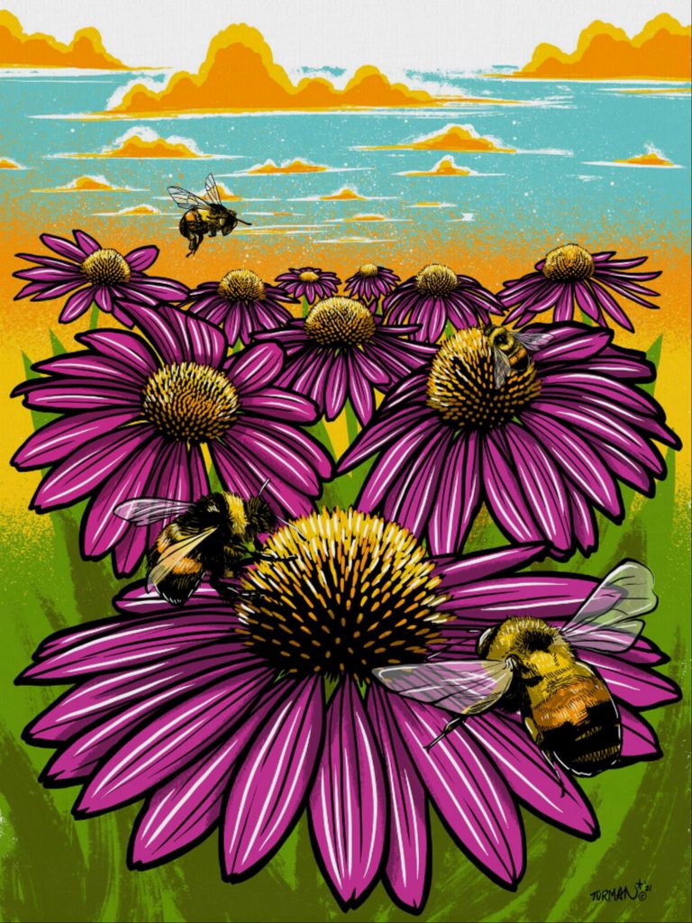 Rusty Patched Bumble Bee