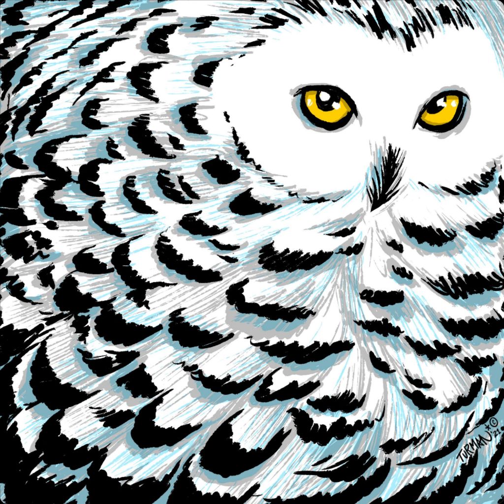 Snowy - Original Screen Print