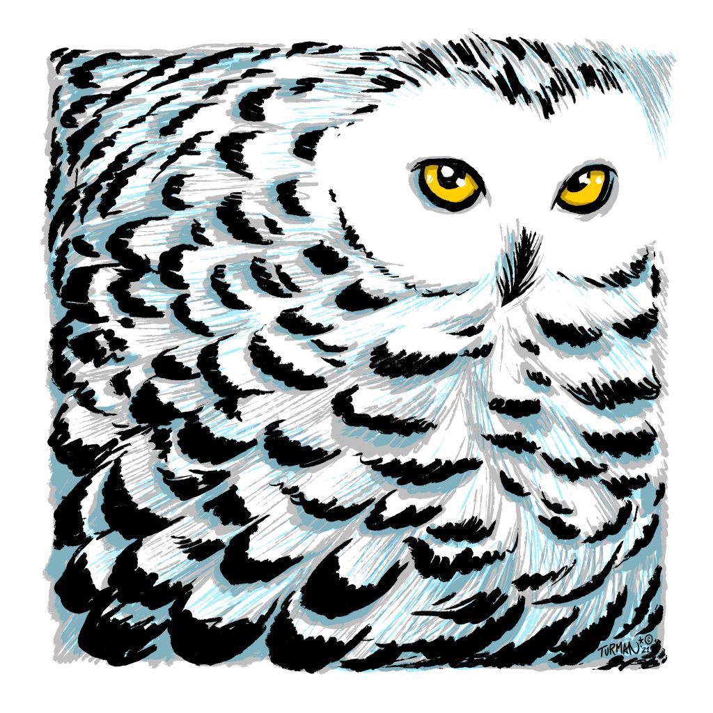 Snowy - Original Screen Print