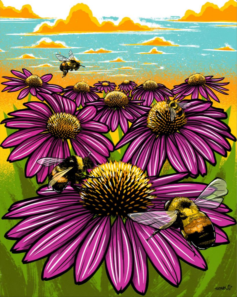 Rusty Patched Bumble Bee