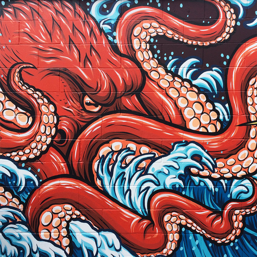 Minnesota Murals & Custom Art- a mural of an octopus