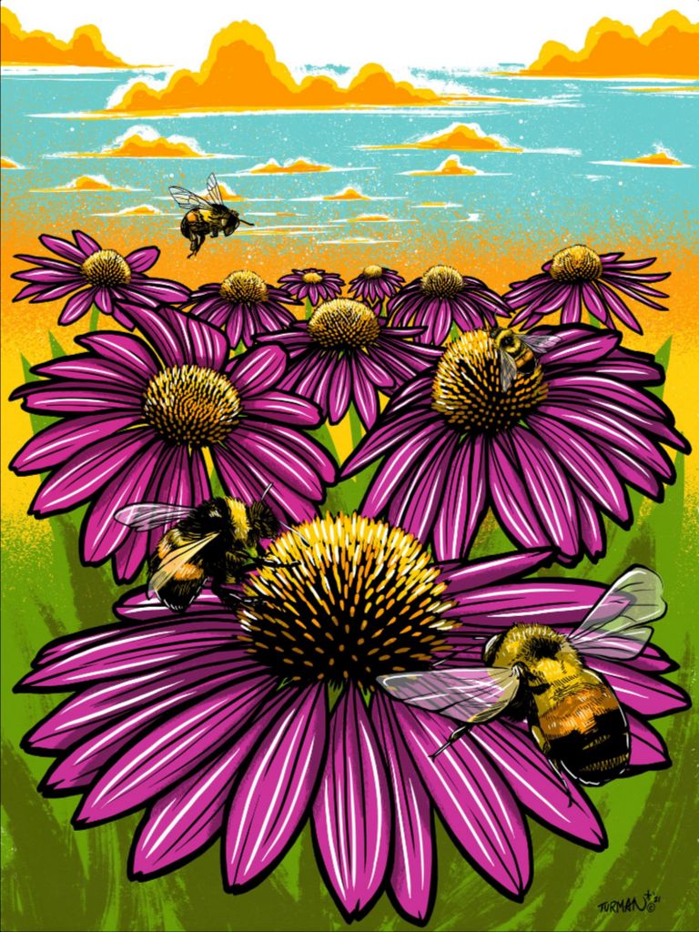 Rusty Patched Bumble Bee