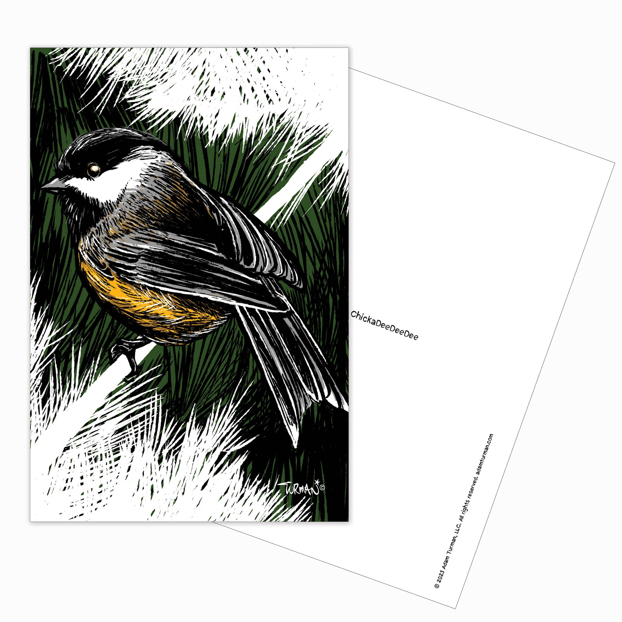 Explore 6-Pack of Postcards