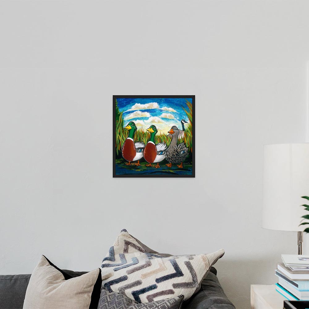 Exotic - We Say Duck, Duck, Gray Duck.