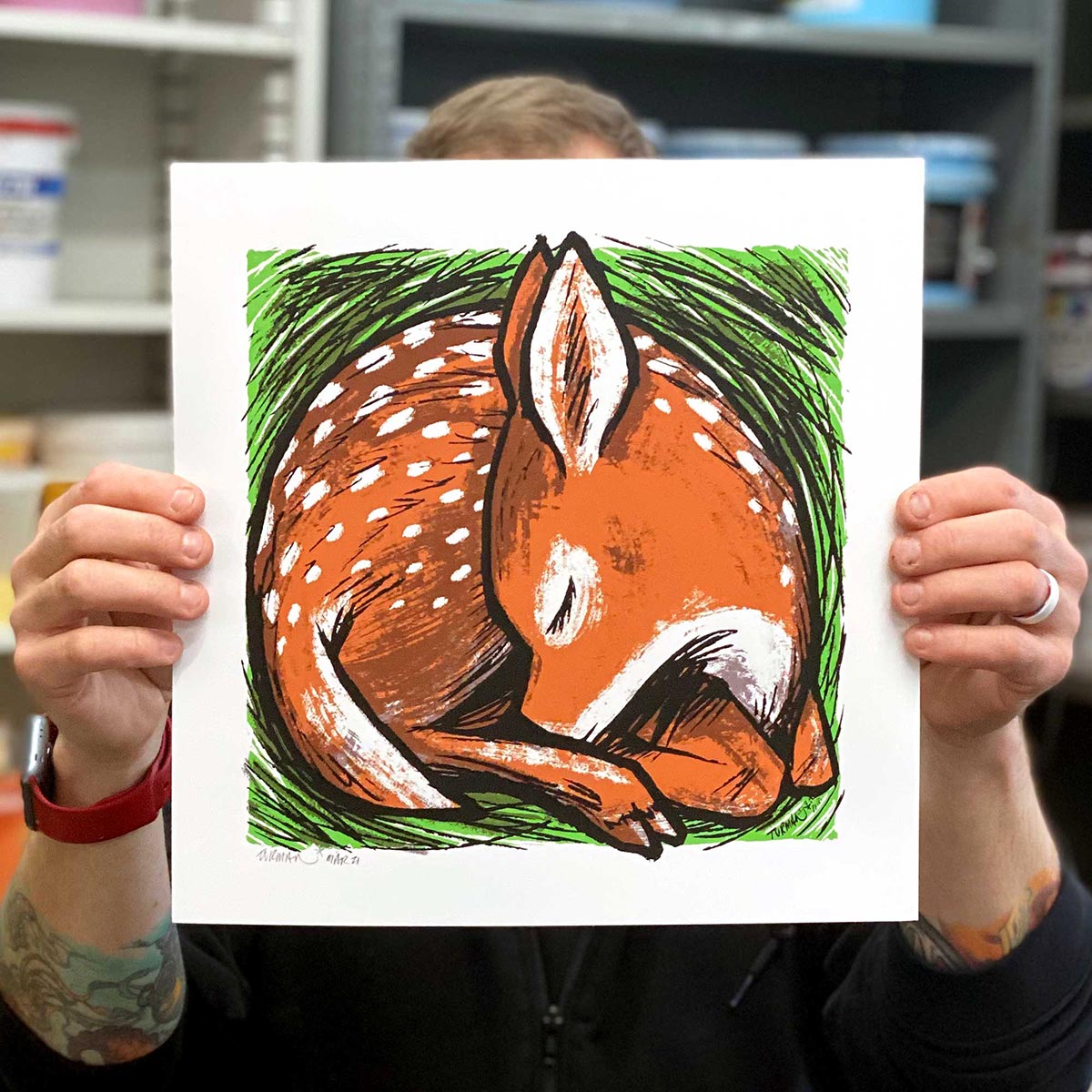 Animal Collections - a person holding up a picture of a deer