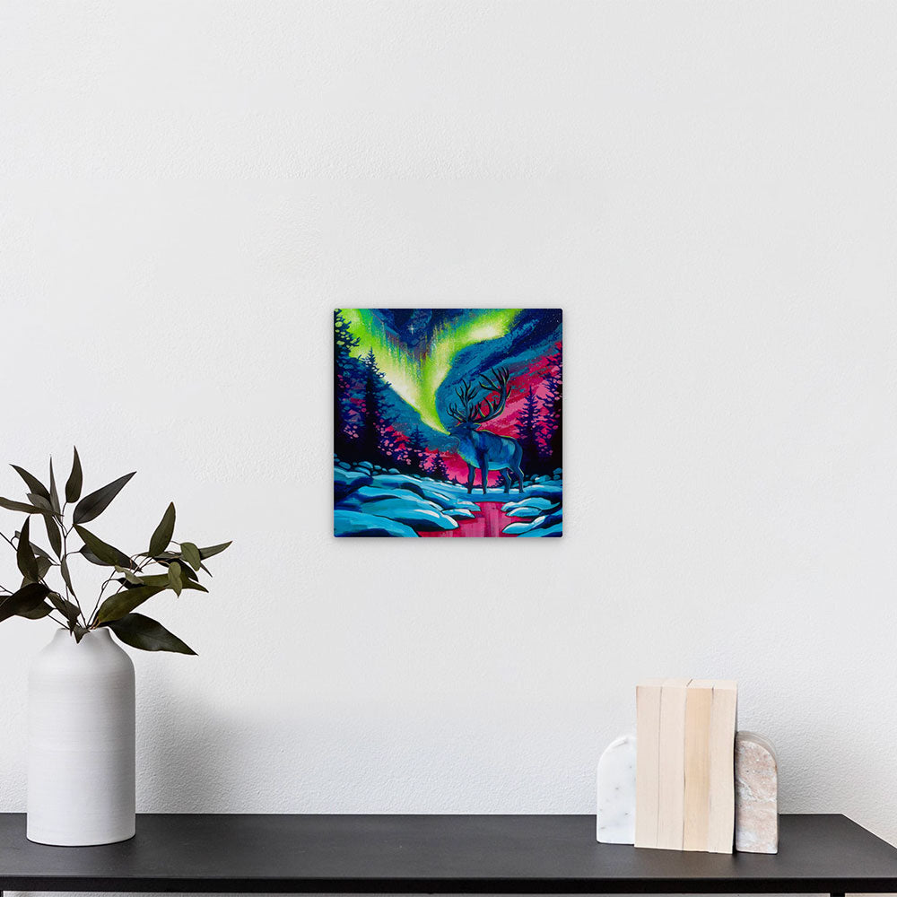 Nomadic Northern Lights