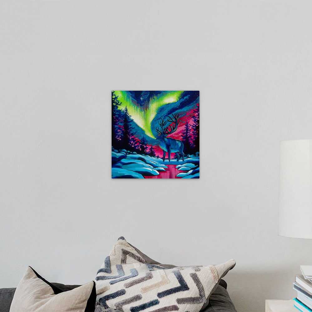 Nomadic Northern Lights