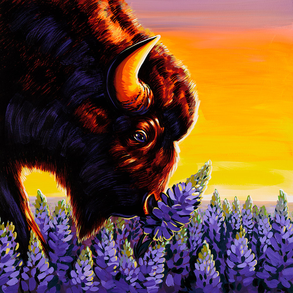 Midwestern Rhinoceros - Buffalo and Lupine