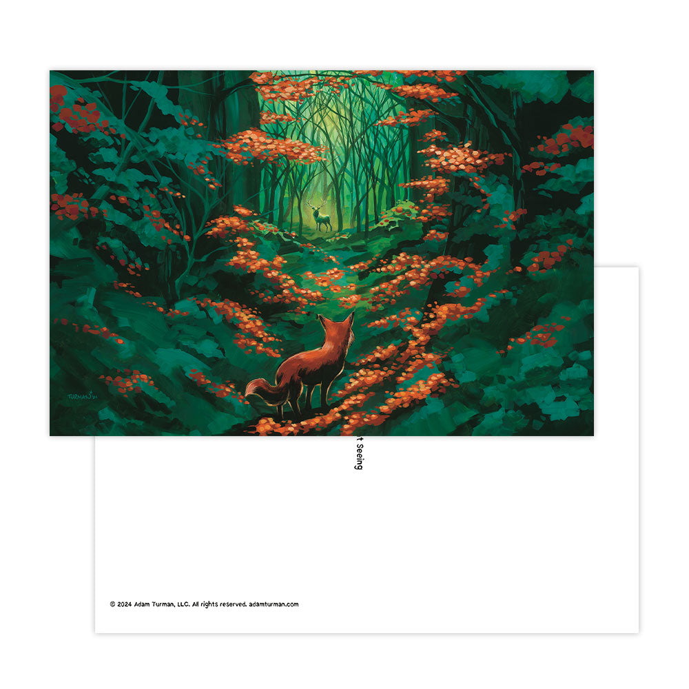 Explore 6-Pack of Postcards