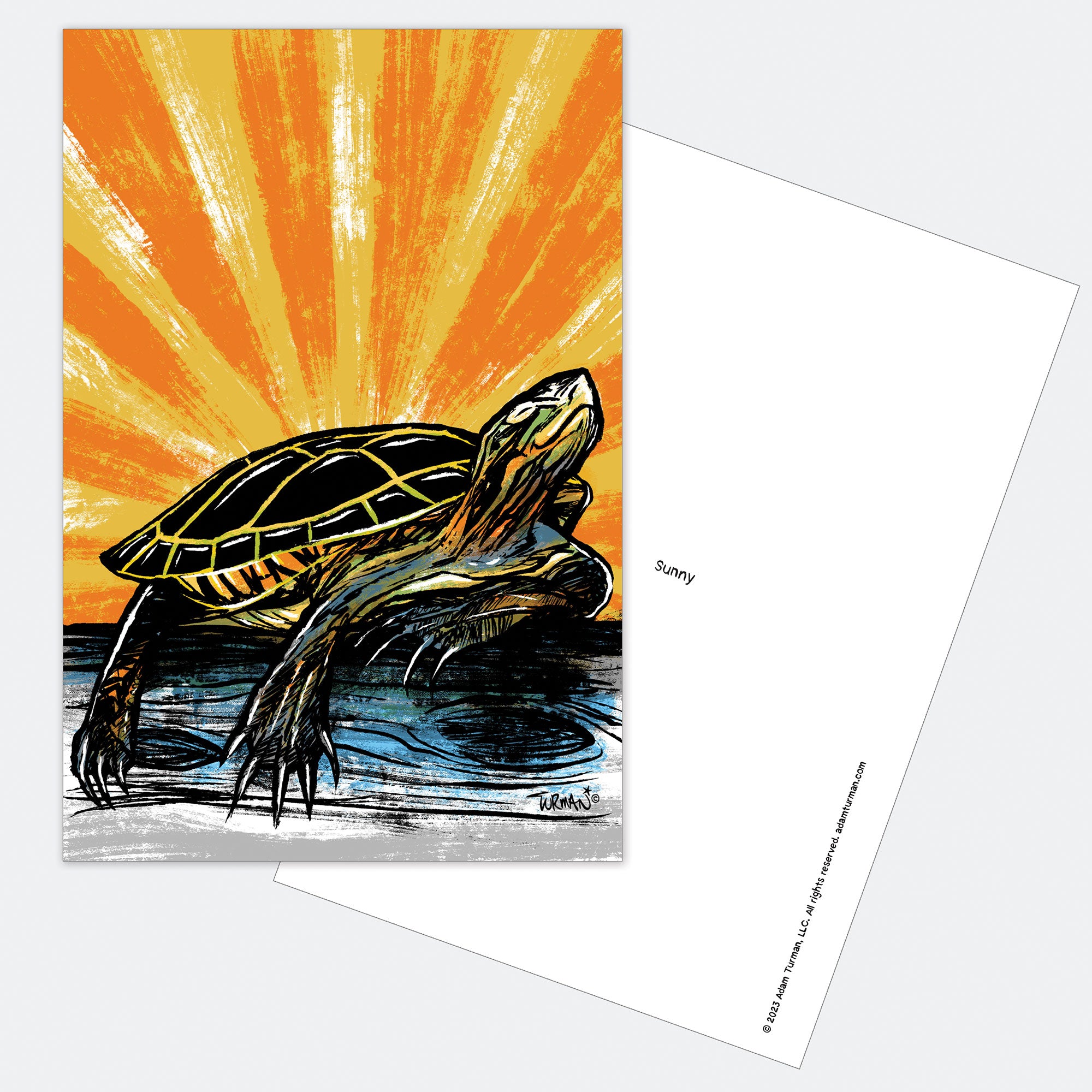 Explore 6-Pack of Postcards