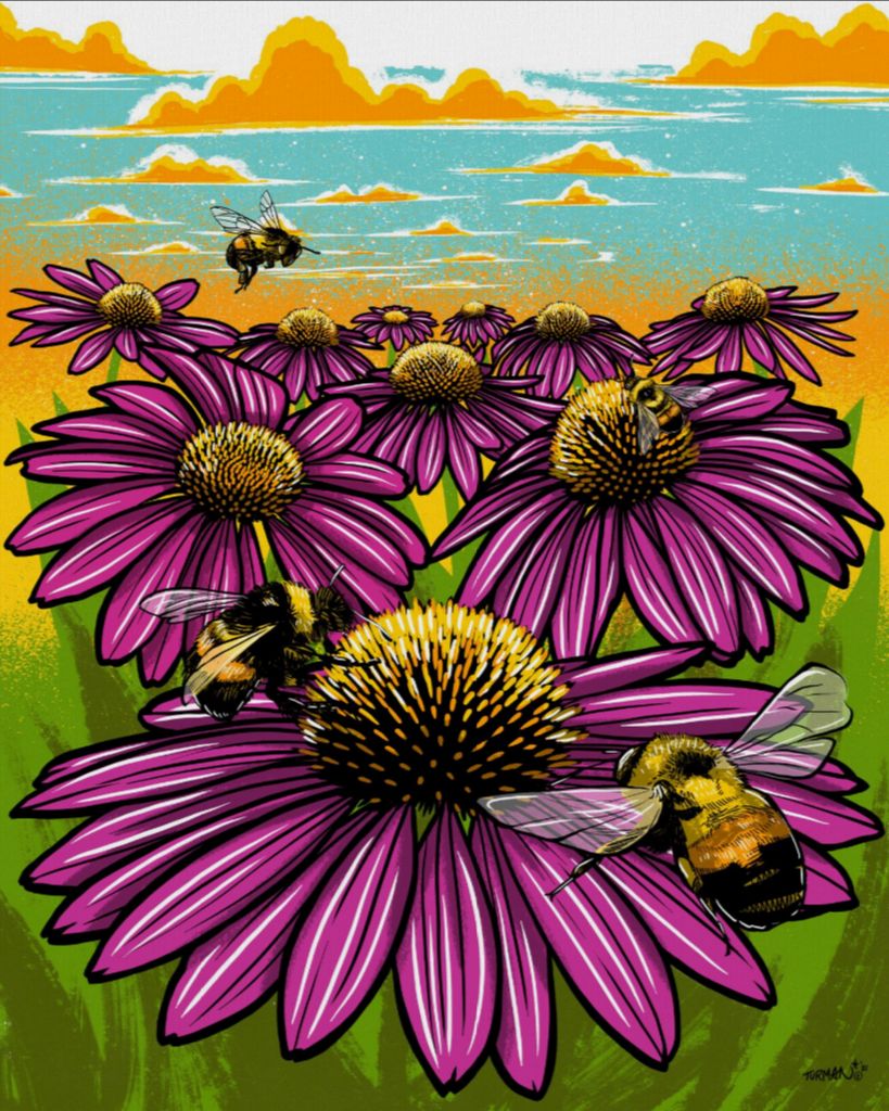 Rusty Patched Bumble Bee