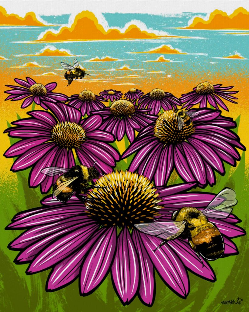 Rusty Patched Bumble Bee