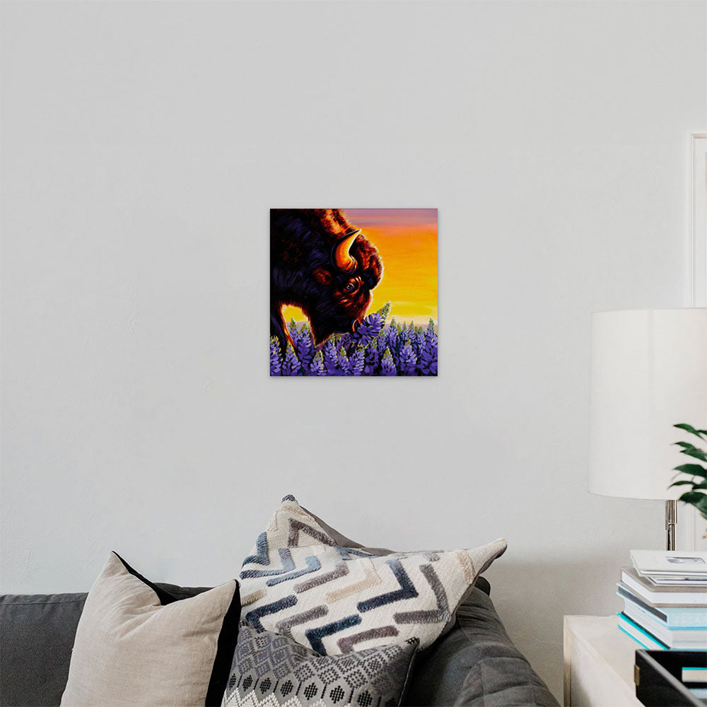 Midwestern Rhinoceros - Buffalo and Lupine