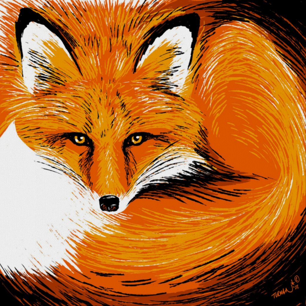 Curly - Red Fox - Original Screen Print