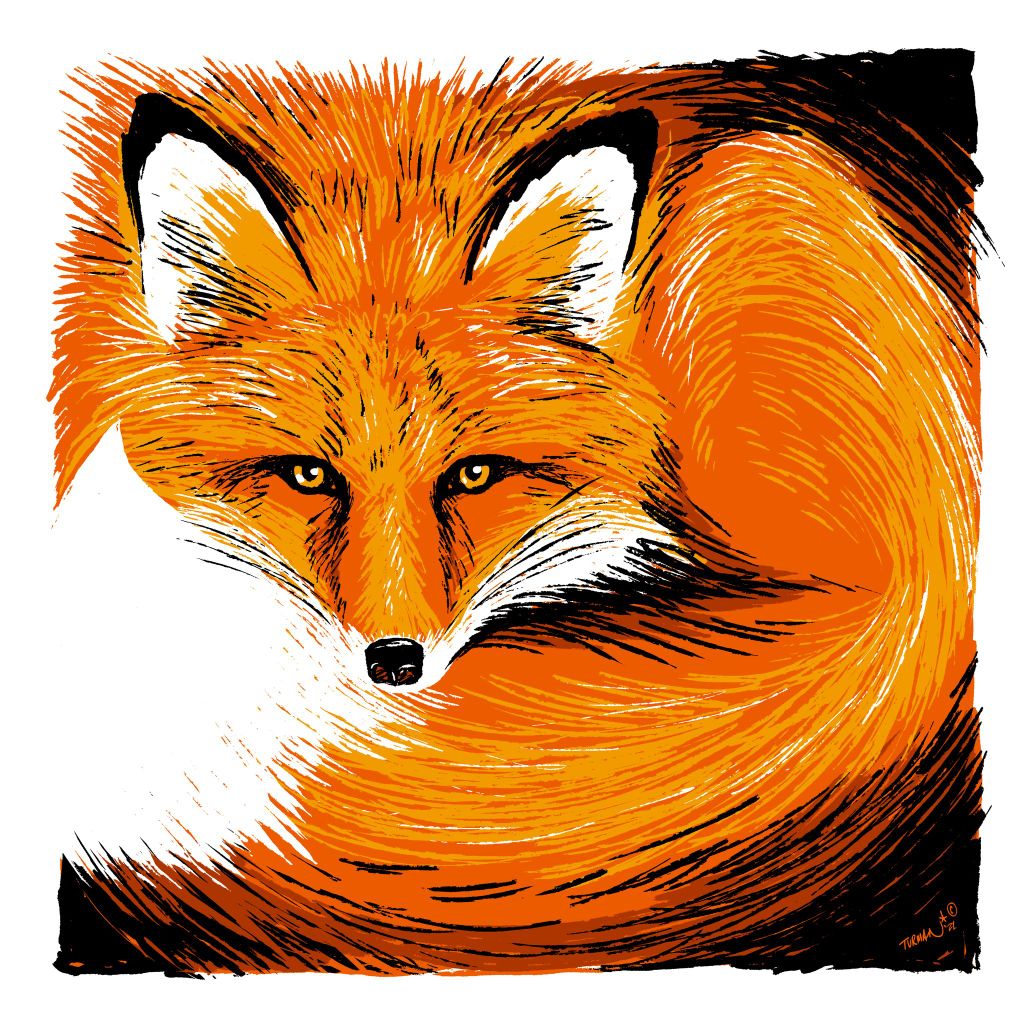 Curly - Red Fox - Original Screen Print