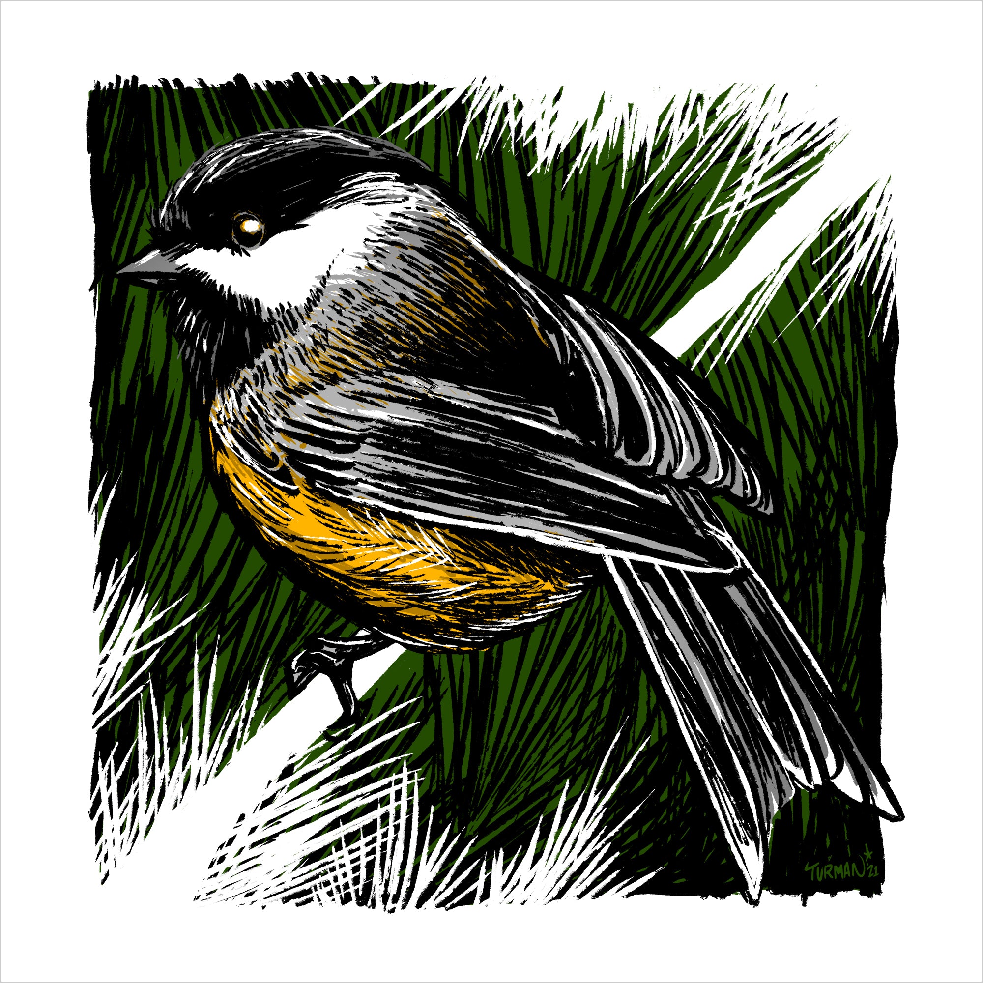 The Black-Capped Chickadee's call is ChickaDeeDeeDee