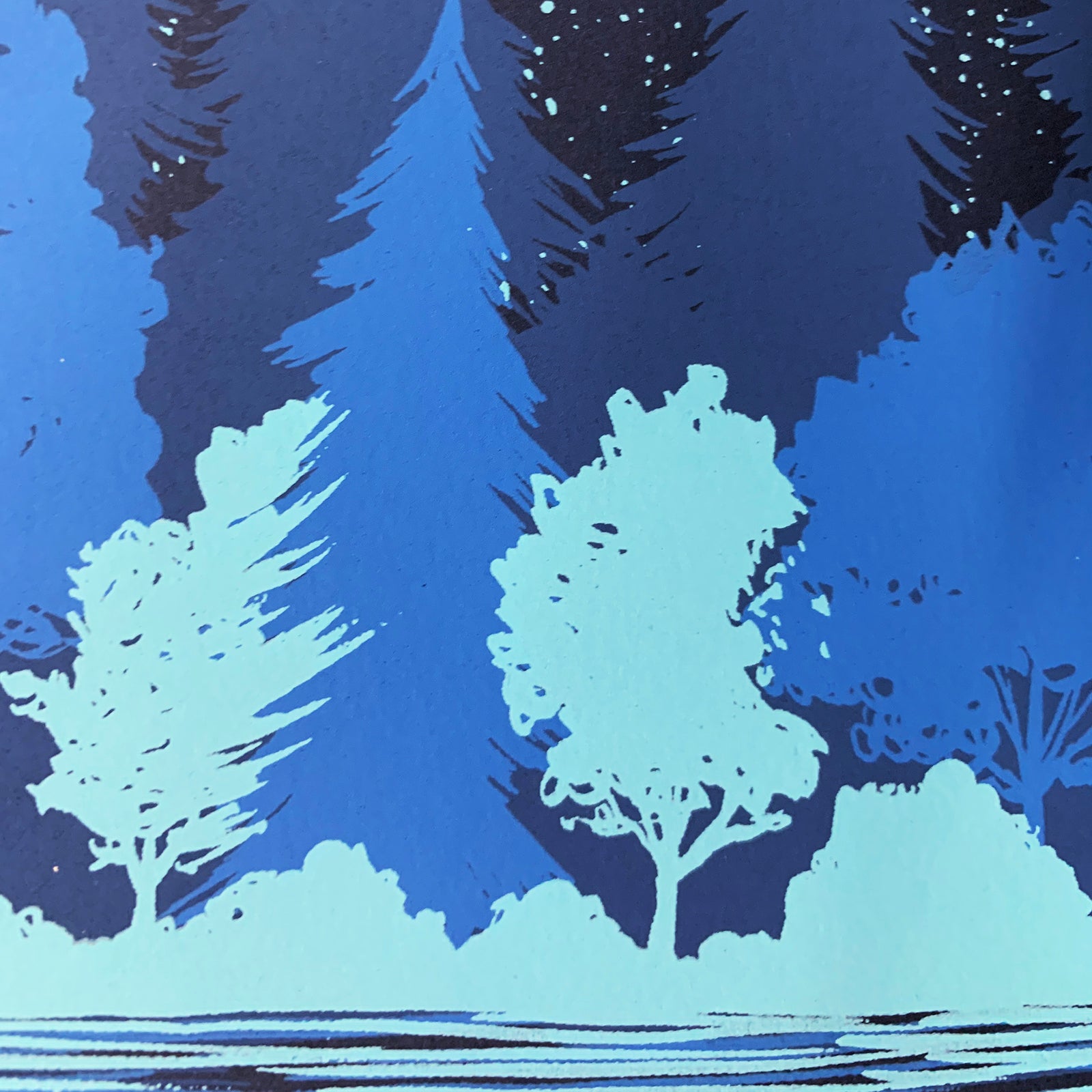 Loon - Original Screen Print