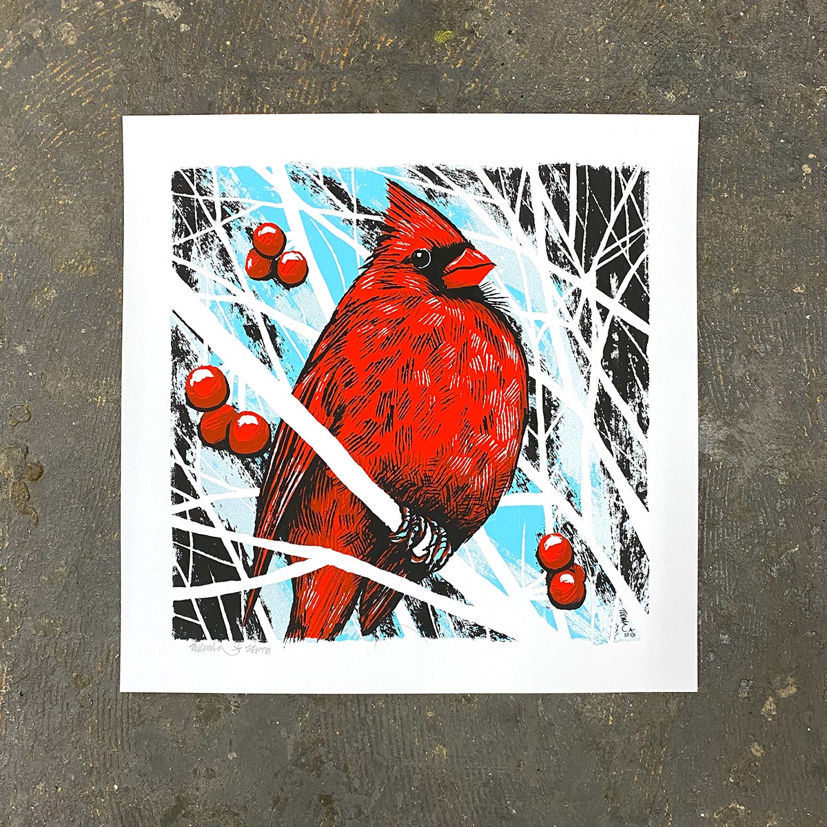 Red - Cardinal
