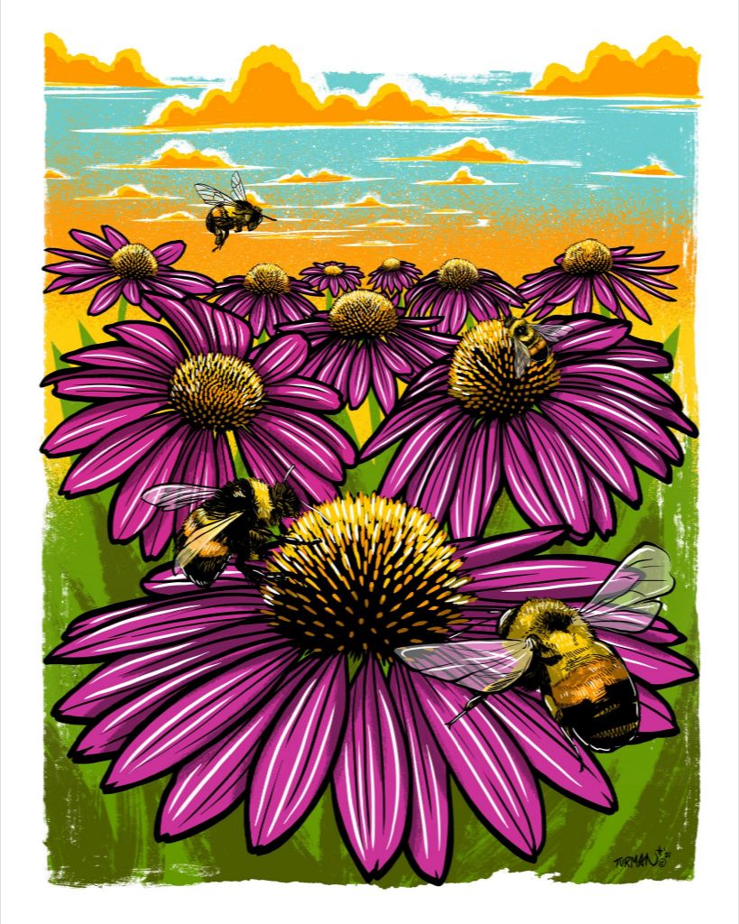 Rusty Patched Bumble Bee