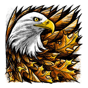 Feathers