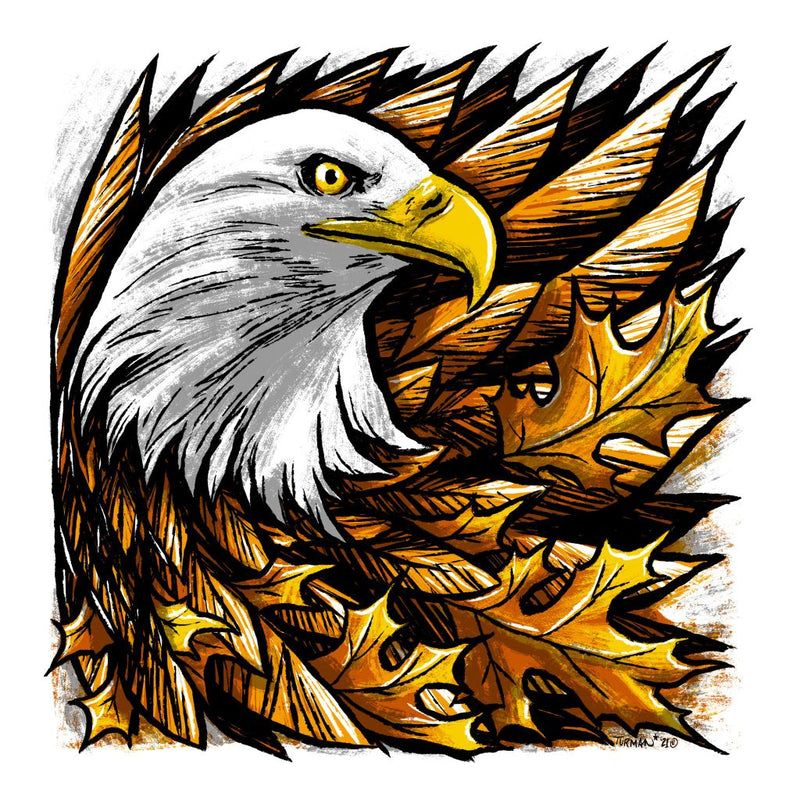 Feathers