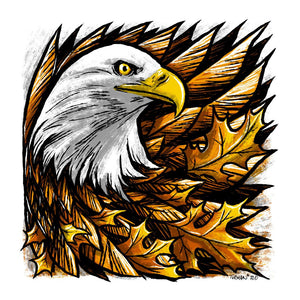 Feathers