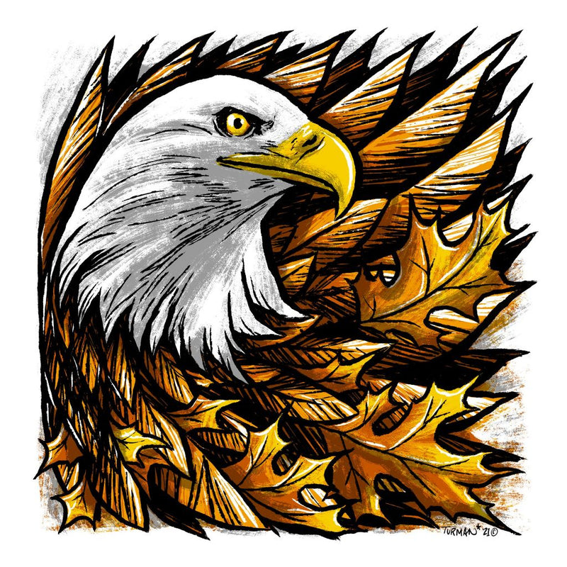 Feathers