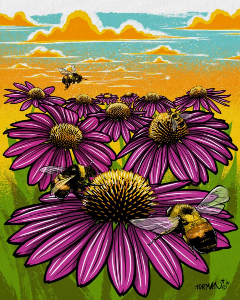 Rusty Patched Bumble Bee