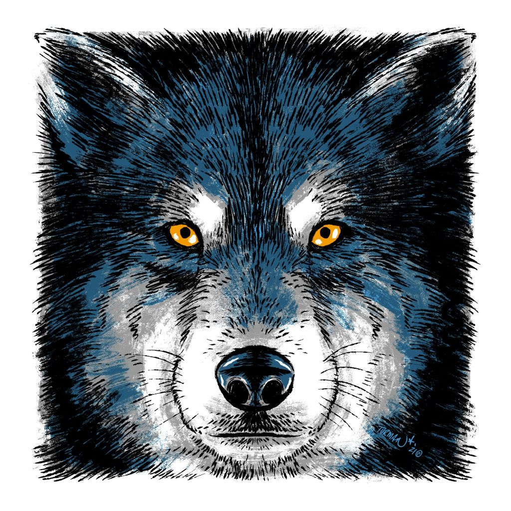 Staring Contest Wolf - Original Screen Print