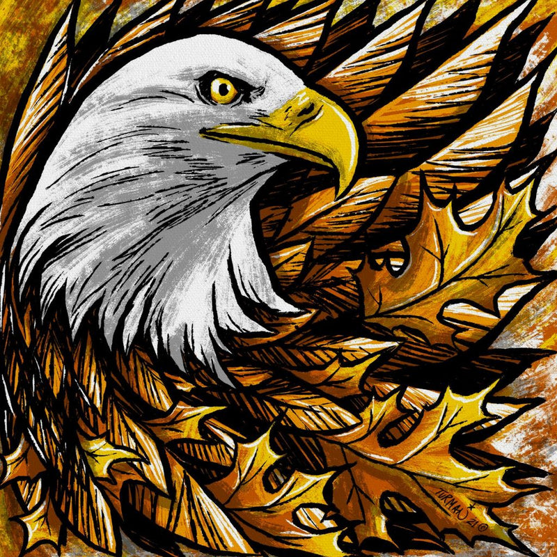 Feathers