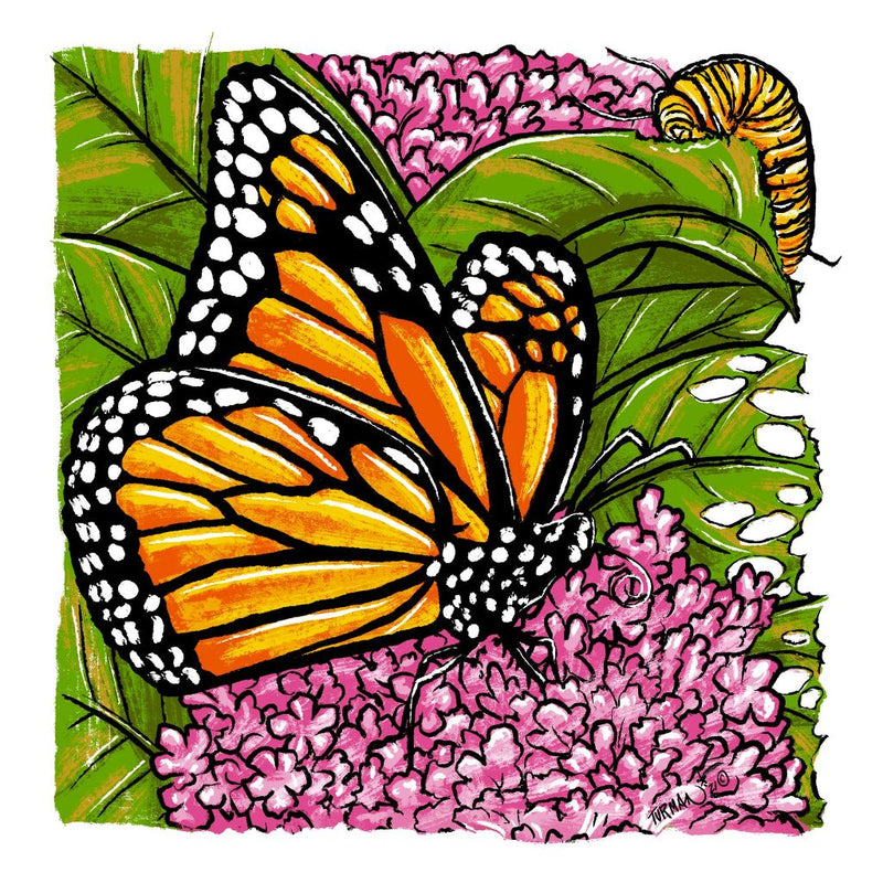 Monarch's Picnic