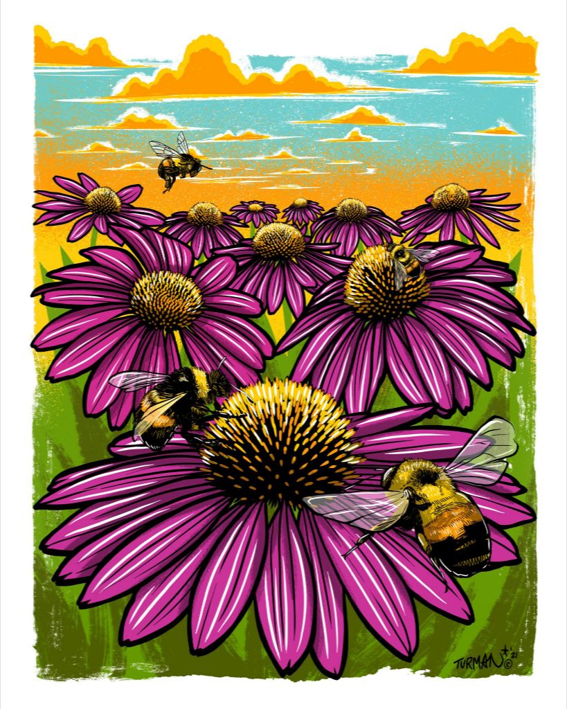 Rusty Patched Bumble Bee