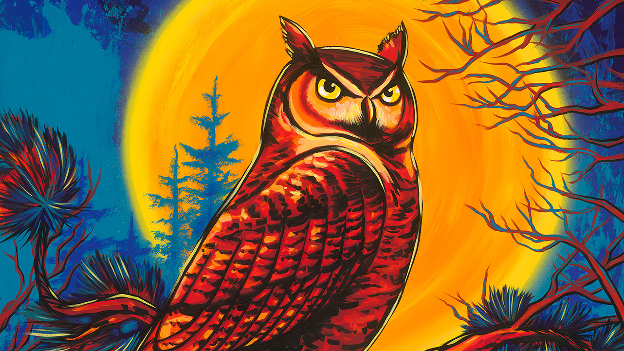 Minnesota Art Prints - an owl painting on a wall