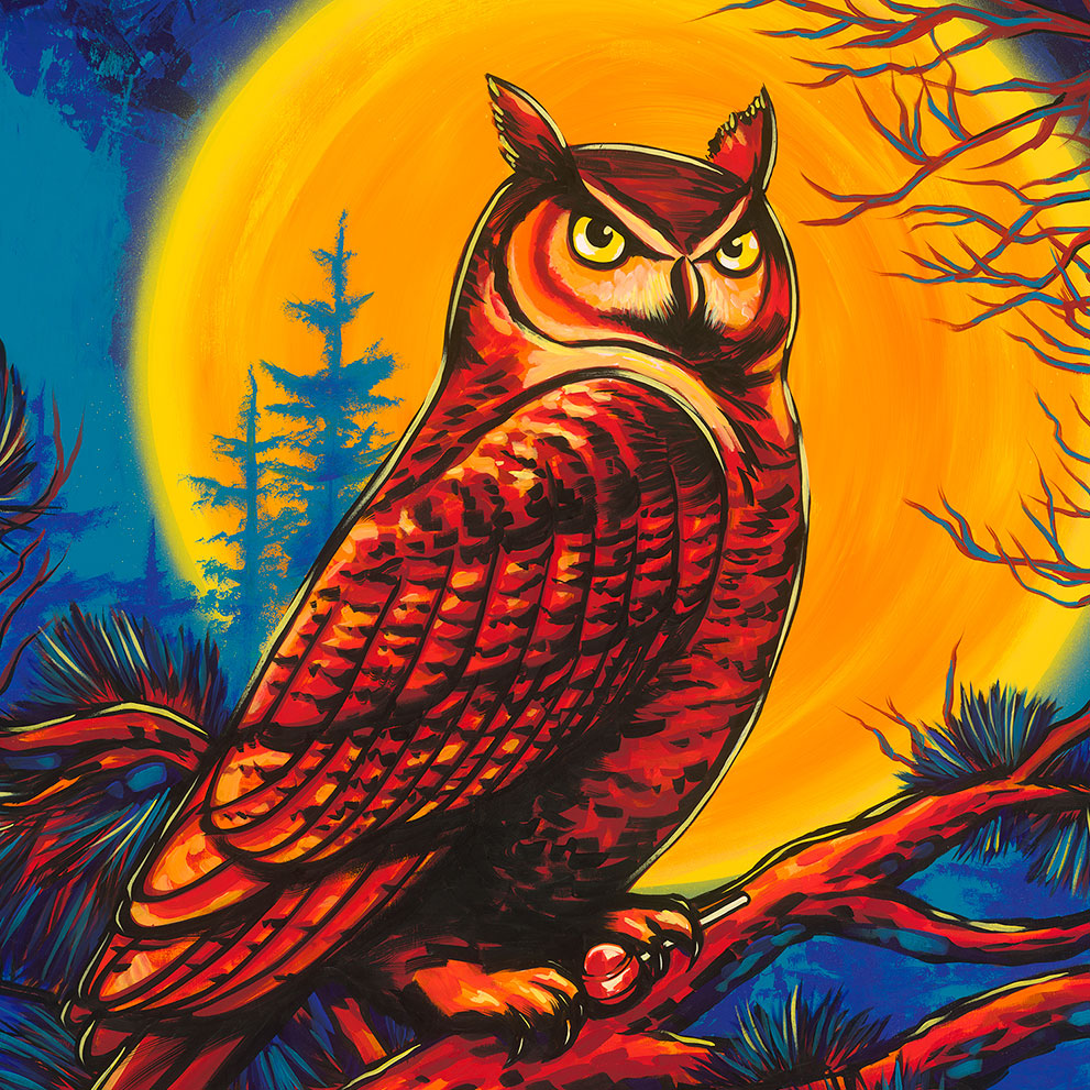 Minnesota Art Prints - an owl painting on a wall