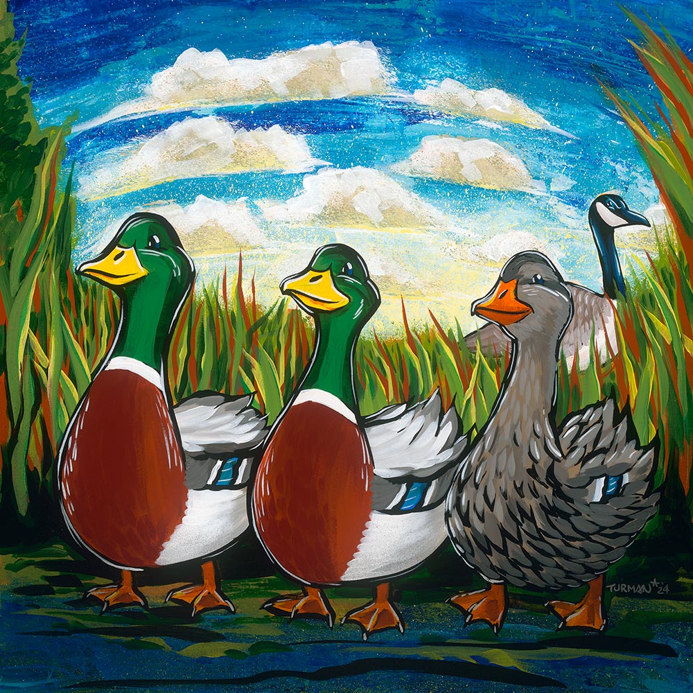 Duck Duck Gray Duck Exotic Art Prints By MN Artist Adam Turman duck-duck-gray-duck-exotic-art-prints-by-mn-artist-adam-turman
