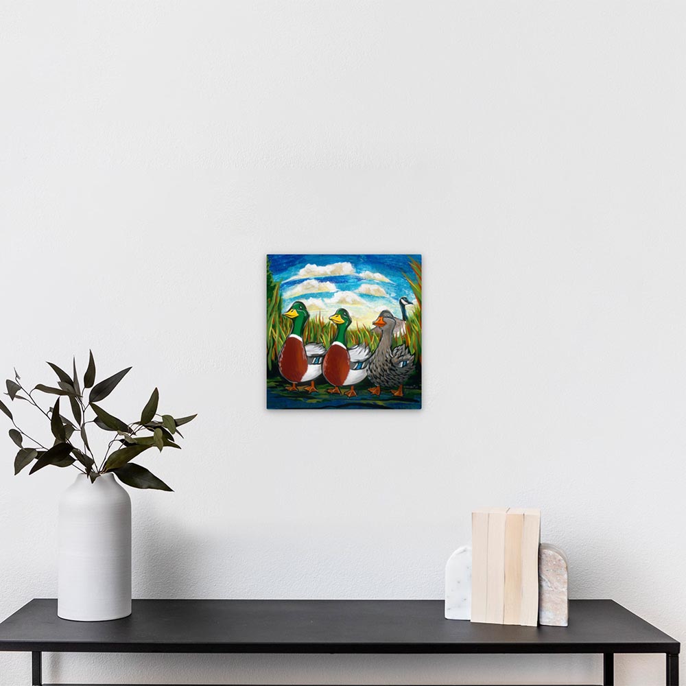 Exotic - We Say Duck, Duck, Gray Duck.