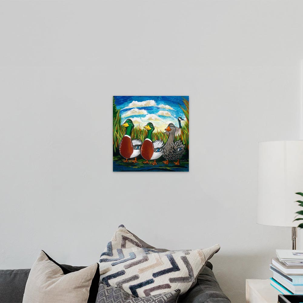 Exotic - We Say Duck, Duck, Gray Duck.