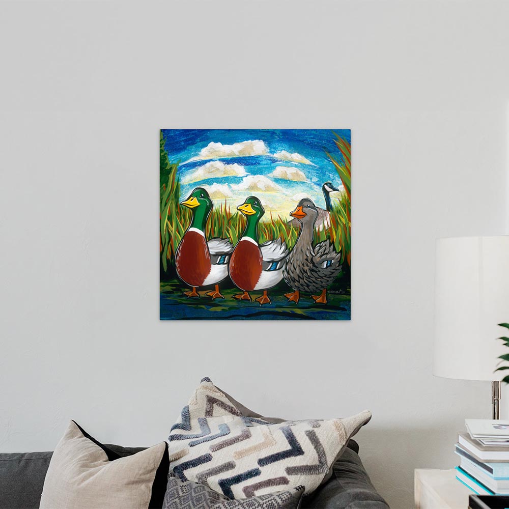 Exotic - We Say Duck, Duck, Gray Duck.