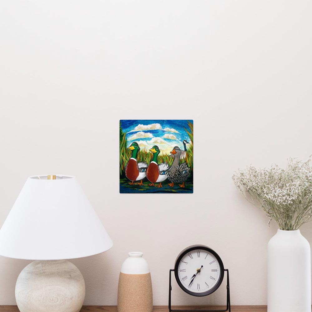 Exotic - We Say Duck, Duck, Gray Duck.