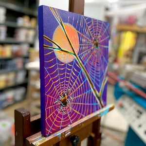Spiders