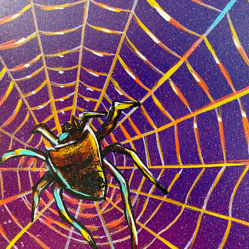 Spiders