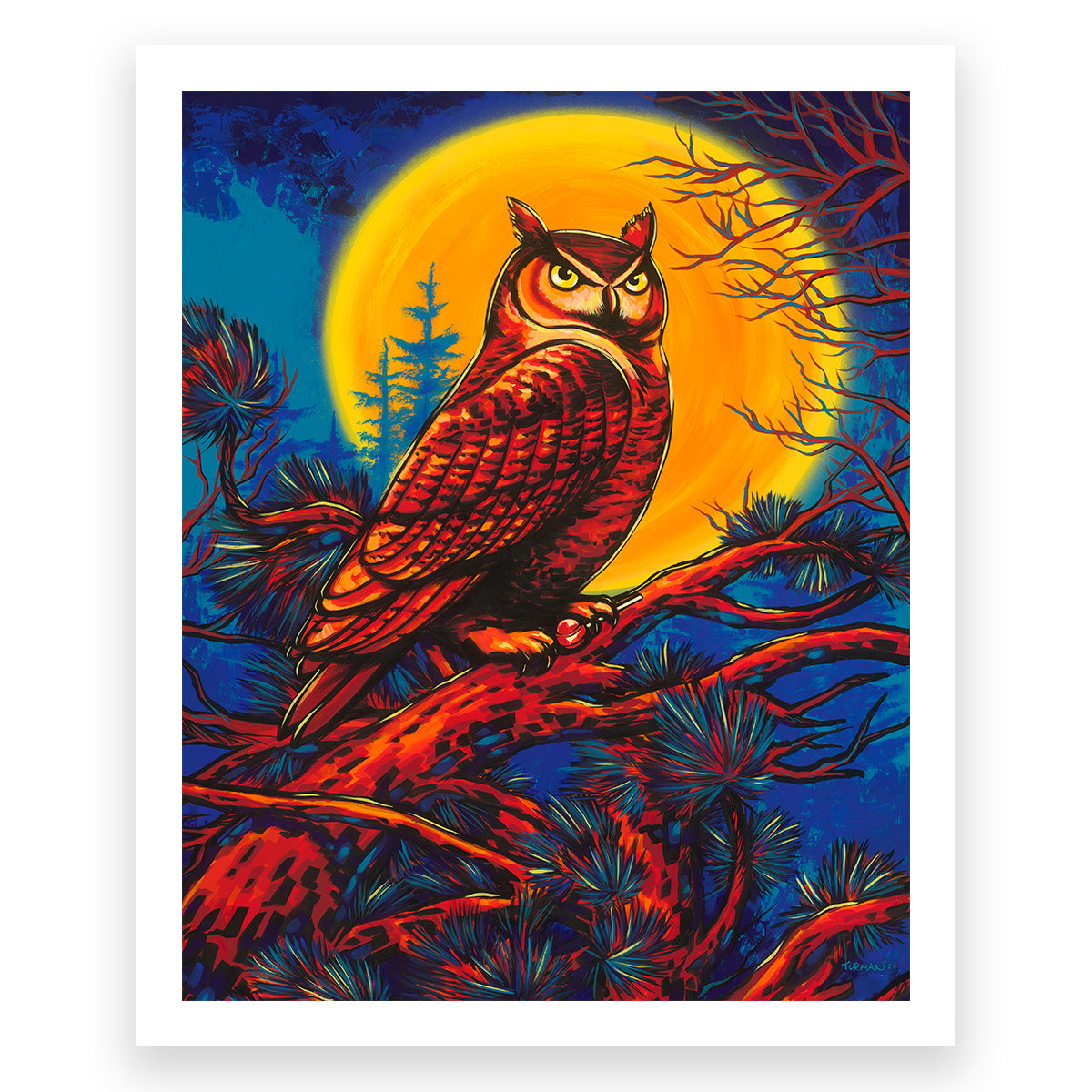 Mr. Owl