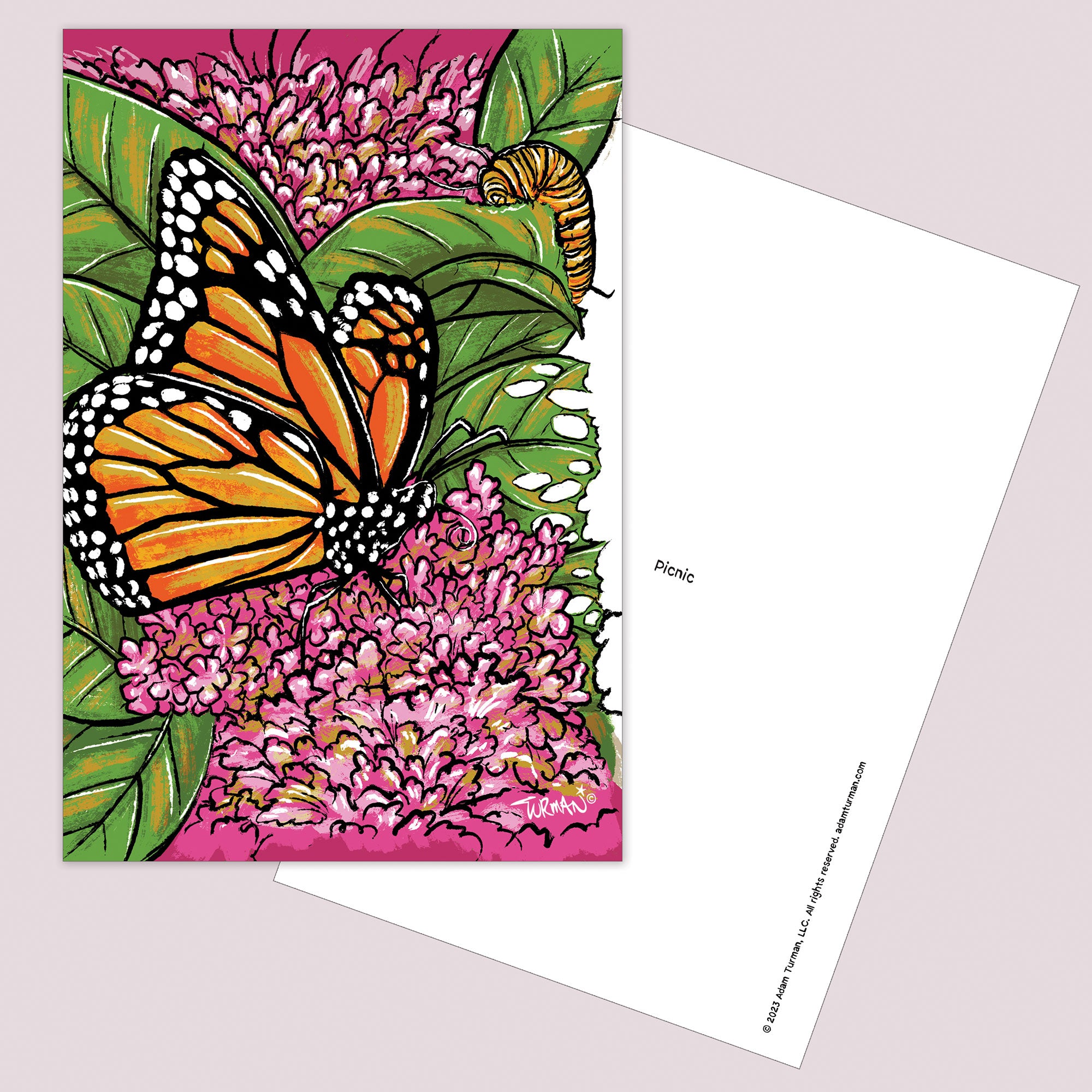 Explore 6-Pack of  Postcards