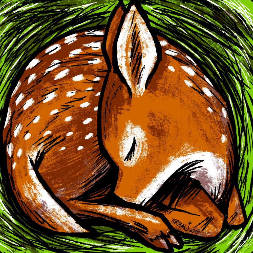 Freckles - Fawn - Original Screen Print