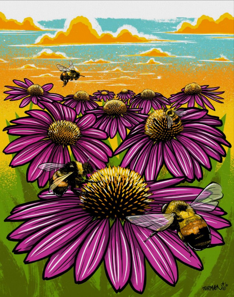 Rusty Patched Bumble Bee