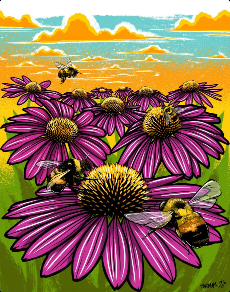 Rusty Patched Bumble Bee