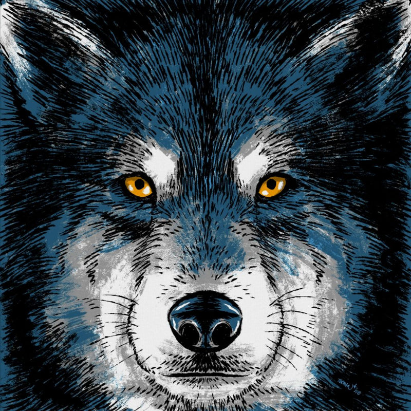 Staring Contest Wolf