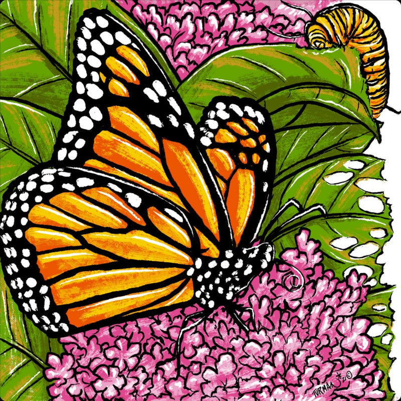 Monarch's Picnic