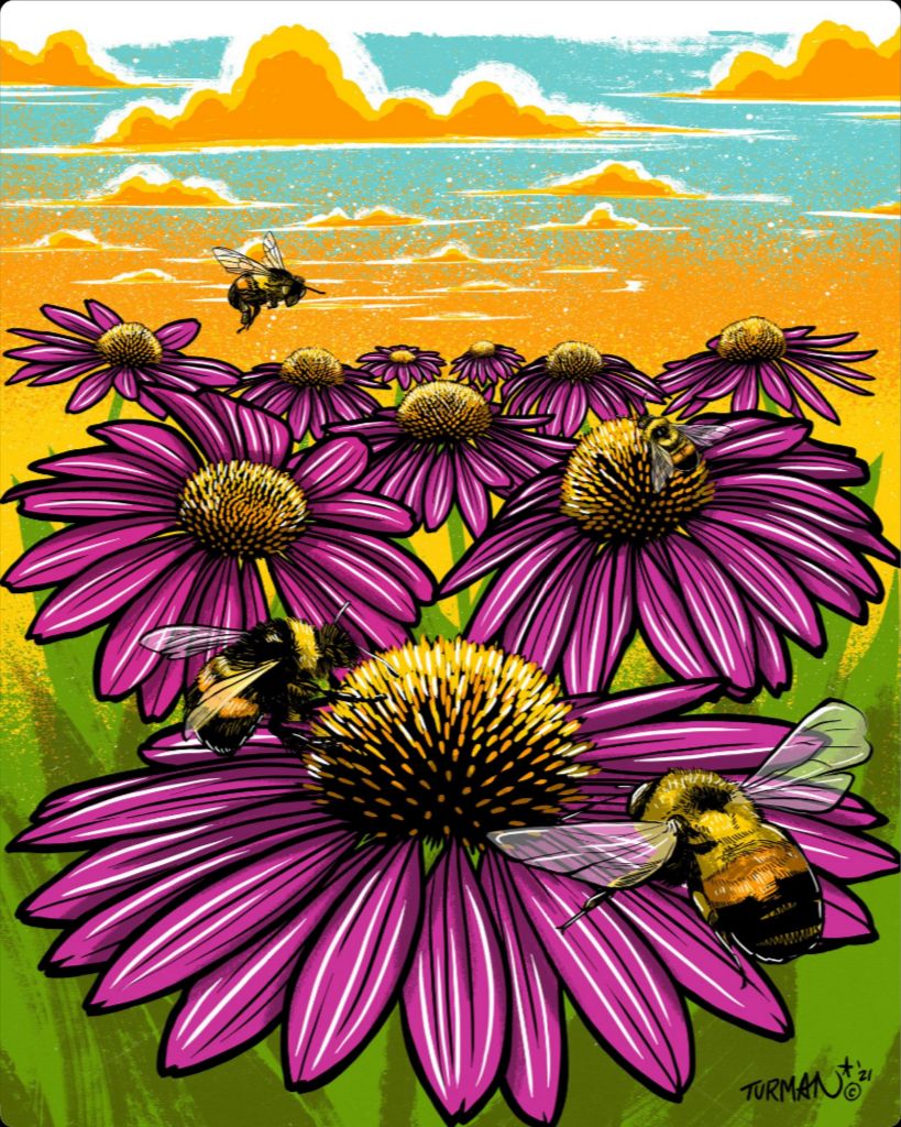 Rusty Patched Bumble Bee